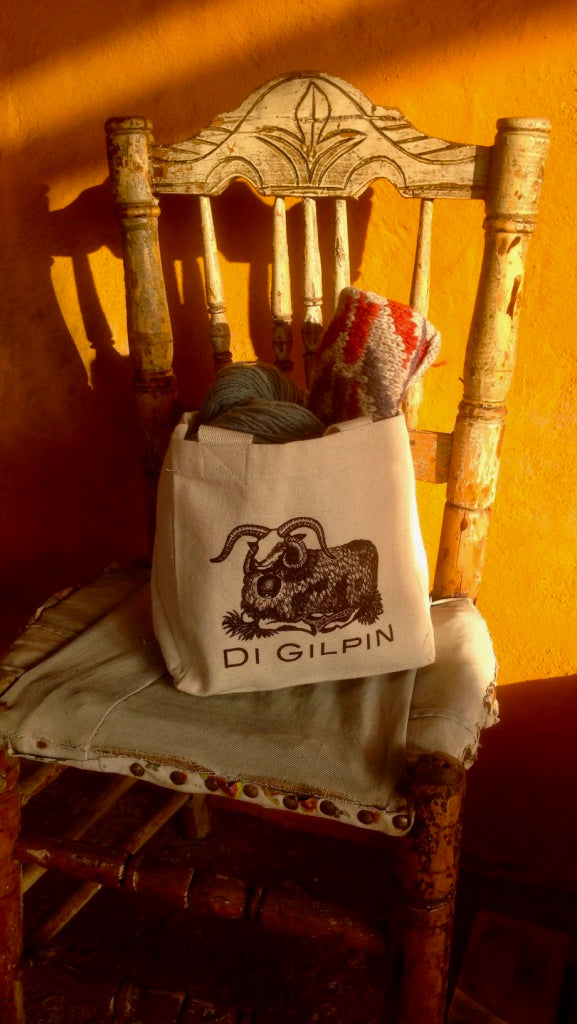 ~~ Di Gilpin Project Bag ~~