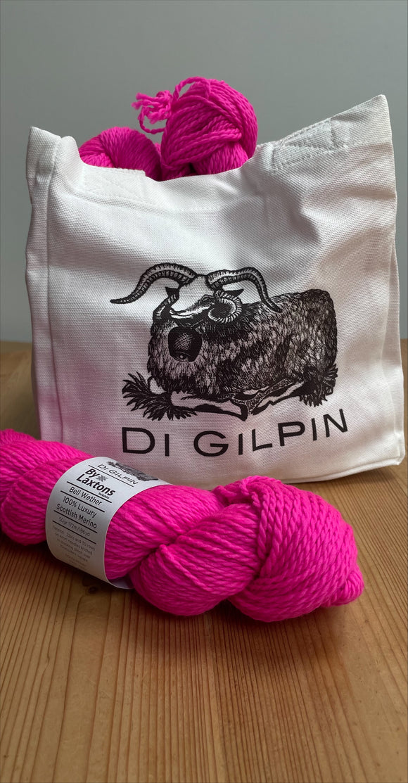 ~~ Di Gilpin 2025 Project Bag ~~